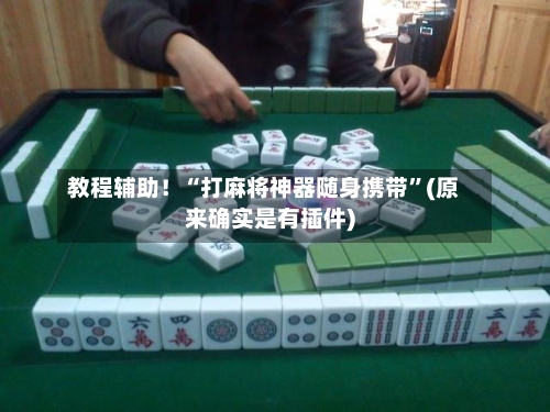 教程辅助！“打麻将神器随身携带”(原来确实是有插件)-第3张图片