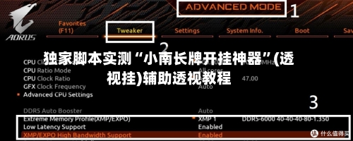 独家脚本实测“小南长牌开挂神器	”(透视挂)辅助透视教程-第2张图片