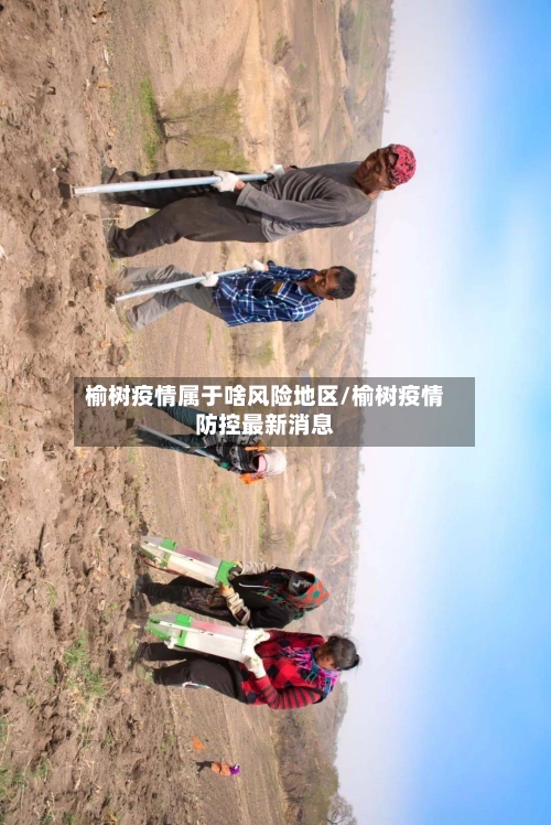 榆树疫情属于啥风险地区/榆树疫情防控最新消息-第2张图片