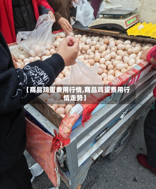 【商品鸡蛋费用行情,商品鸡蛋费用行情走势】-第3张图片