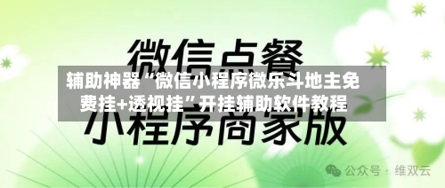 辅助神器“微信小程序微乐斗地主免费挂+透视挂”开挂辅助软件教程