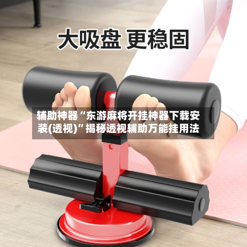 辅助神器“东游麻将开挂神器下载安装(透视)”揭秘透视辅助万能挂用法-第2张图片