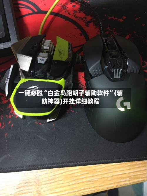 一键必胜“白金岛跑胡子辅助软件”(辅助神器)开挂详细教程-第3张图片