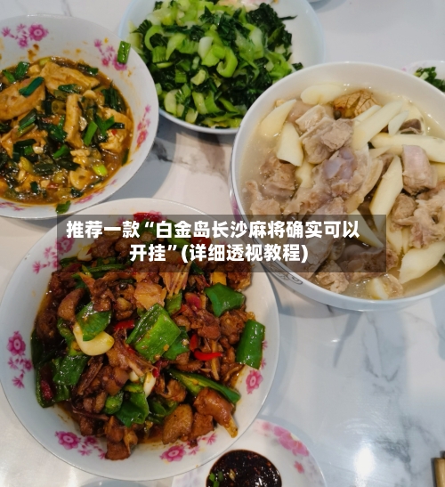 推荐一款“白金岛长沙麻将确实可以开挂”(详细透视教程)-第2张图片