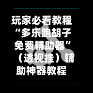 玩家必看教程“多乐跑胡子免费辅助器”（透视挂）辅助神器教程-第2张图片