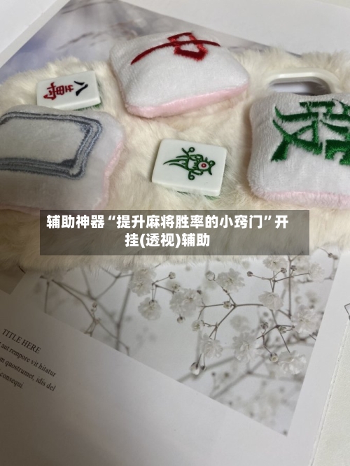 辅助神器“提升麻将胜率的小窍门”开挂(透视)辅助