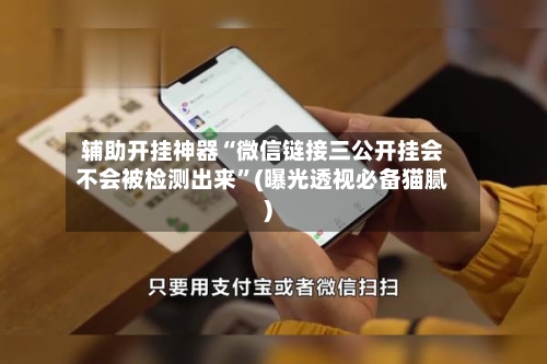辅助开挂神器“微信链接三公开挂会不会被检测出来”(曝光透视必备猫腻)-第3张图片