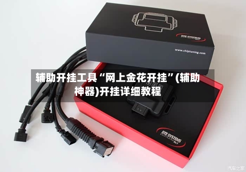 辅助开挂工具“网上金花开挂	”(辅助神器)开挂详细教程-第3张图片