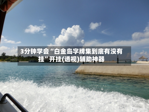 3分钟学会“白金岛字牌集到底有没有挂	”开挂(透视)辅助神器-第2张图片