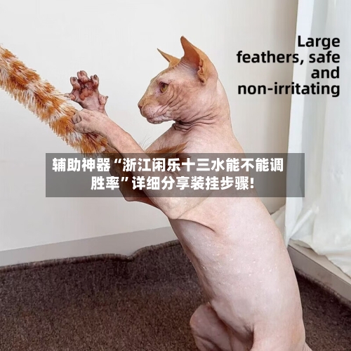 辅助神器“浙江闲乐十三水能不能调胜率”详细分享装挂步骤!