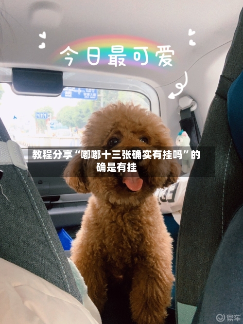 教程分享“嘟嘟十三张确实有挂吗”的确是有挂-第2张图片
