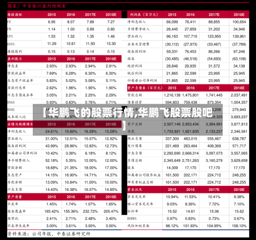 【华鹏飞的股票行情,华鹏飞股票股吧】