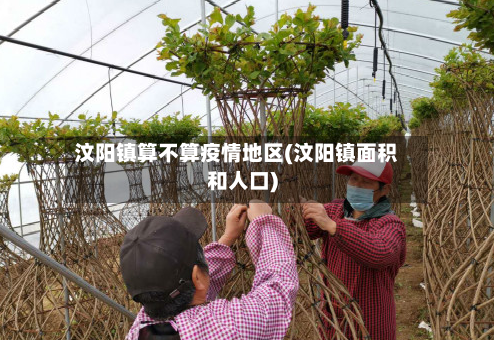 汶阳镇算不算疫情地区(汶阳镇面积和人口)