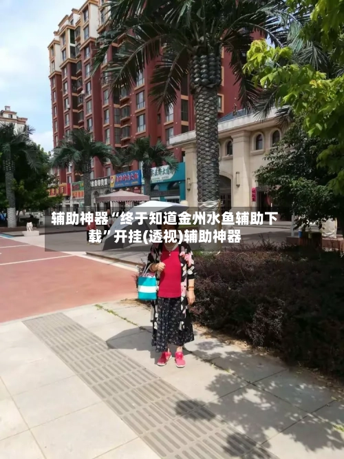 辅助神器“终于知道金州水鱼辅助下载”开挂(透视)辅助神器