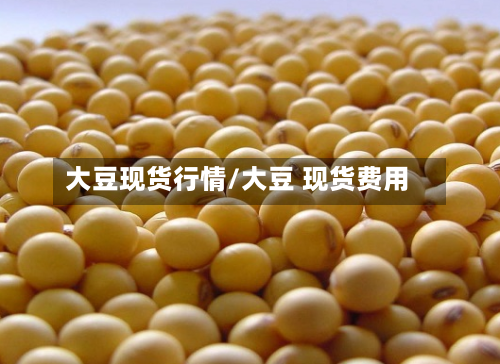 大豆现货行情/大豆 现货费用-第2张图片