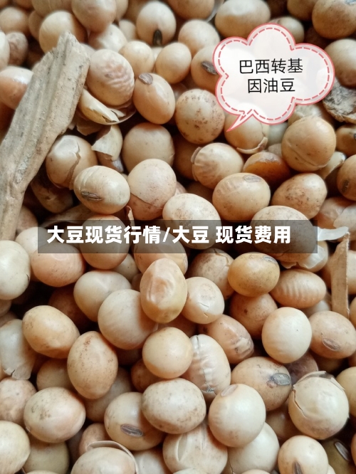 大豆现货行情/大豆 现货费用