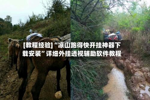 [教程经验]“凉山跑得快开挂神器下载安装”详细外挂透视辅助软件教程-第2张图片
