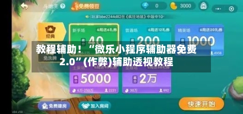 教程辅助！“微乐小程序辅助器免费2.0	”(作弊)辅助透视教程-第2张图片