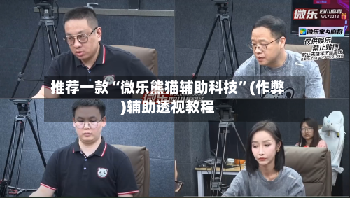 推荐一款“微乐熊猫辅助科技”(作弊)辅助透视教程-第2张图片