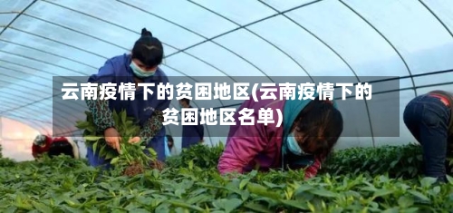云南疫情下的贫困地区(云南疫情下的贫困地区名单)-第3张图片