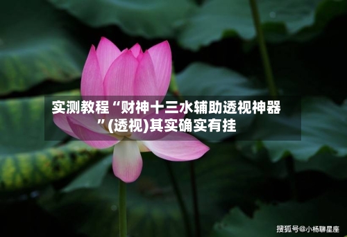 实测教程“财神十三水辅助透视神器”(透视)其实确实有挂-第2张图片