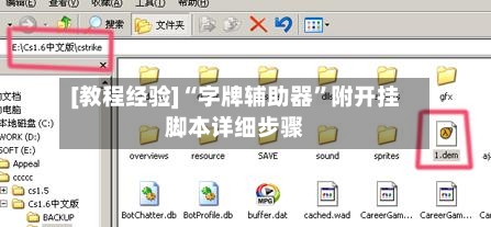 [教程经验]“字牌辅助器	”附开挂脚本详细步骤-第2张图片