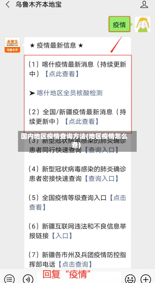 国内地区疫情查询方法(地区疫情怎么查)