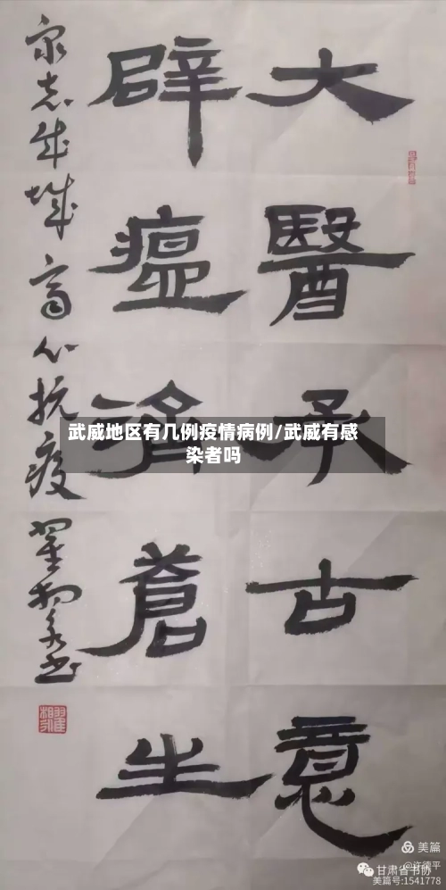 武威地区有几例疫情病例/武威有感染者吗-第3张图片