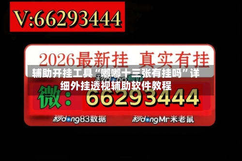 辅助开挂工具“嘟嘟十三张有挂吗”详细外挂透视辅助软件教程