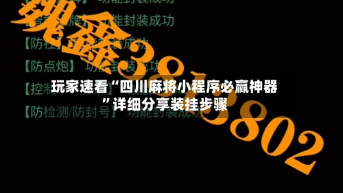 玩家速看“四川麻将小程序必赢神器	”详细分享装挂步骤-第2张图片