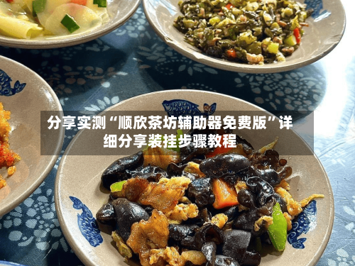 分享实测“顺欣茶坊辅助器免费版”详细分享装挂步骤教程-第3张图片