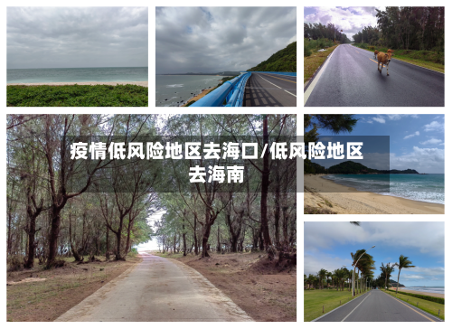 疫情低风险地区去海口/低风险地区去海南-第2张图片