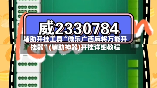 辅助开挂工具“微乐广西麻将万能开挂器”(辅助神器)开挂详细教程-第2张图片