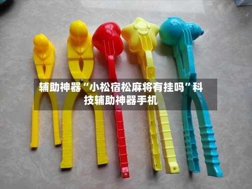 辅助神器“小松宿松麻将有挂吗	”科技辅助神器手机-第2张图片