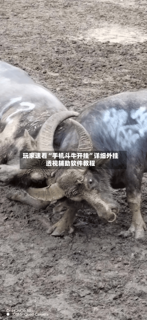 玩家速看“手机斗牛开挂	”详细外挂透视辅助软件教程-第2张图片