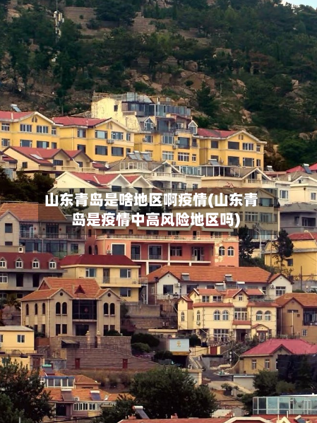 山东青岛是啥地区啊疫情(山东青岛是疫情中高风险地区吗)-第2张图片