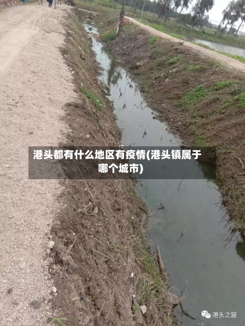 港头都有什么地区有疫情(港头镇属于哪个城市)