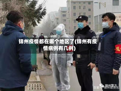 锦州疫情都在哪个地区了(锦州有疫情病例有几例)