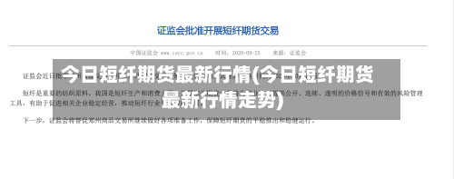 今日短纤期货最新行情(今日短纤期货最新行情走势)-第2张图片
