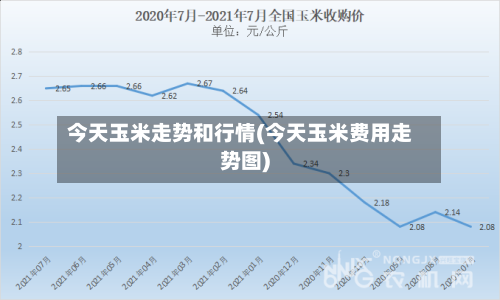 今天玉米走势和行情(今天玉米费用走势图)-第3张图片