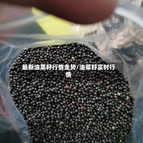 最新油菜籽行情走势/油菜籽实时行情-第2张图片