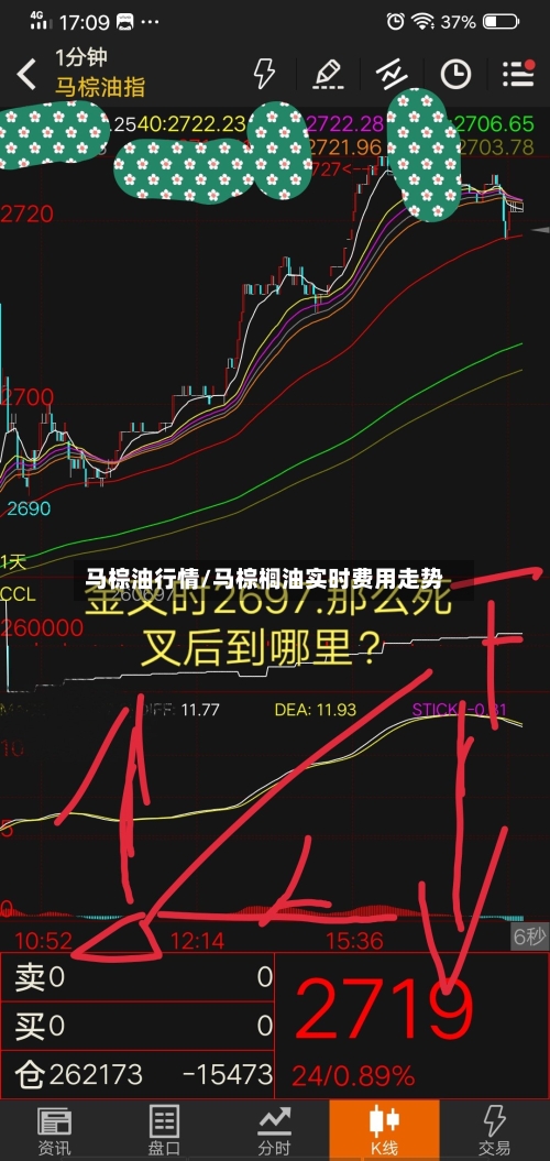马棕油行情/马棕榈油实时费用走势