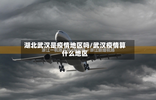 湖北武汉是疫情地区吗/武汉疫情算什么地区-第2张图片