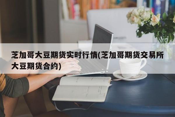 芝加哥大豆期货实时行情(芝加哥期货交易所大豆期货合约)