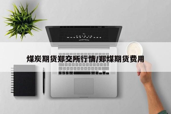 煤炭期货郑交所行情/郑煤期货费用