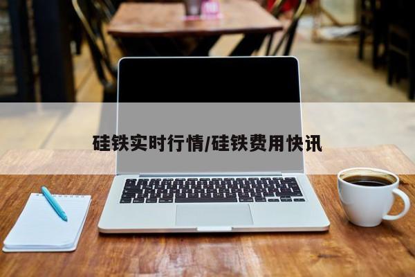 硅铁实时行情/硅铁费用快讯