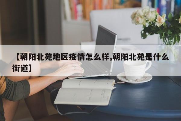 【朝阳北苑地区疫情怎么样,朝阳北苑是什么街道】