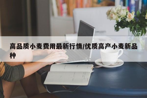 高品质小麦费用最新行情/优质高产小麦新品种
